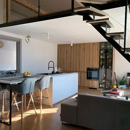 Open Space Loft With Wonderful View Apartment Brasov
